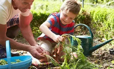 Grow Your Own Food