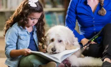 Kids Reading to Therapy Dogs