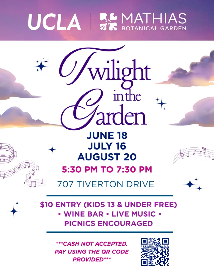 Twilight In The Garden