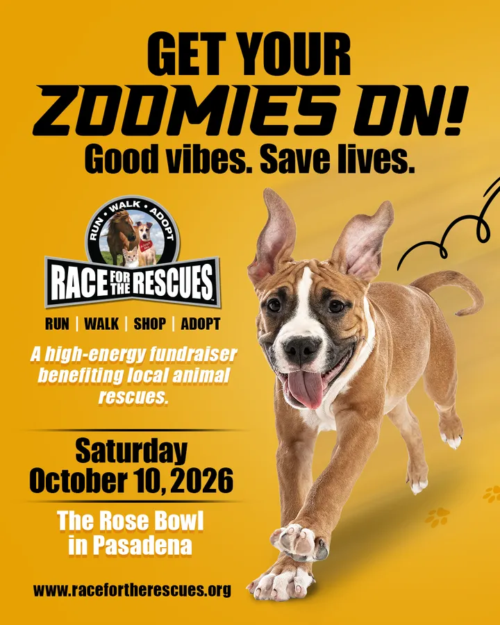 Race For The Rescues