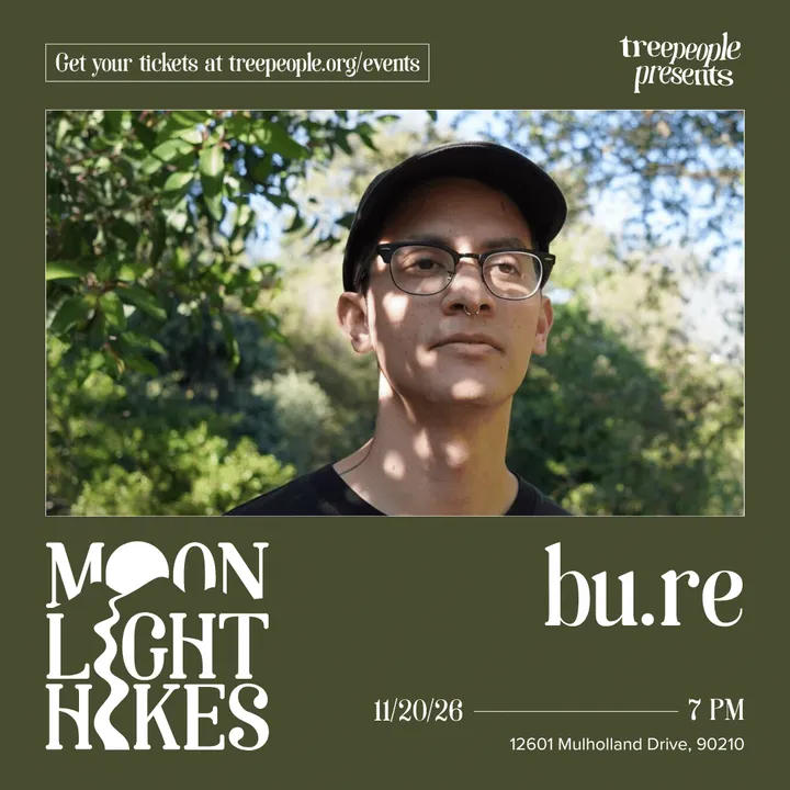 Moonlight Hike