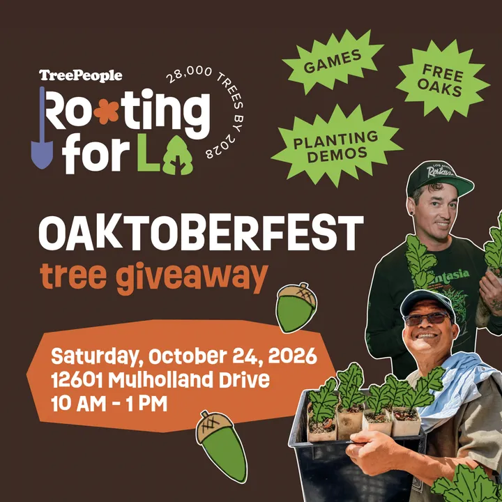 Oaktoberfest Tree Giveaway