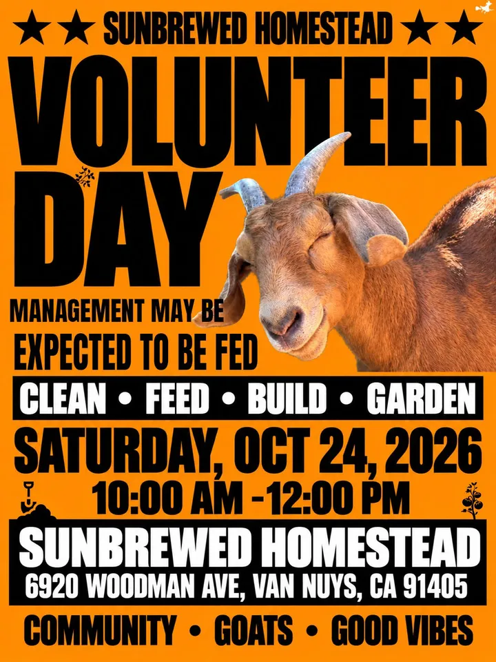Volunteer at Urban Homestead