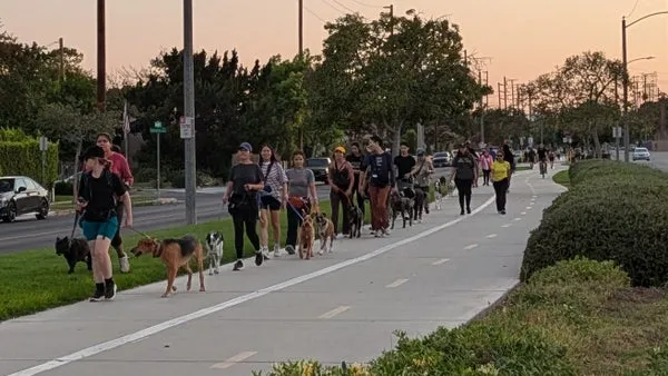 The Burbank/Chandler Bike Path Pack Walk