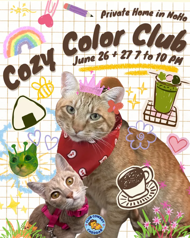 Cozy Color Club Evening Hours
