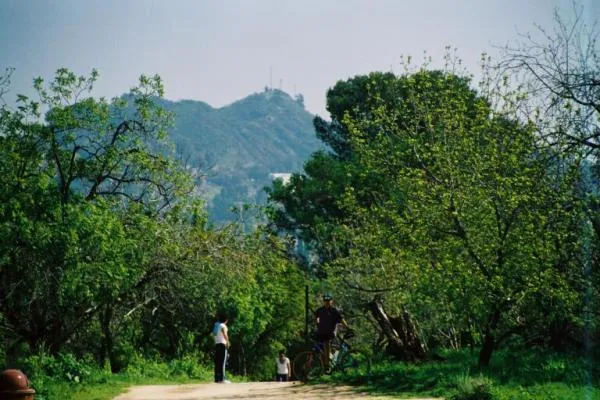 Wilacre Park