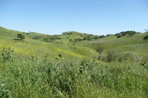 Victory Trailhead / Upper Las Virgenes Canyon Open Space Preserve